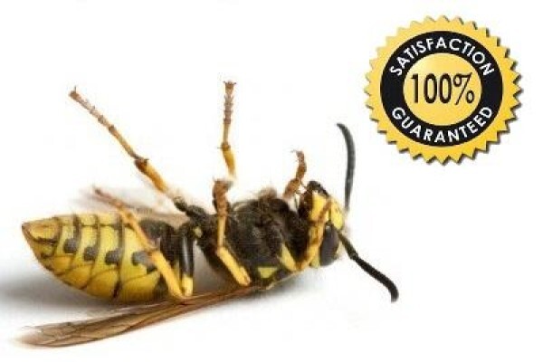 Pest Control Pros Pty Ltd