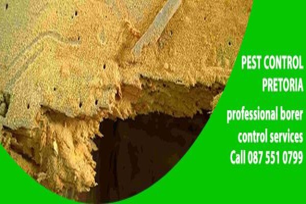 Pretoria Pest Control