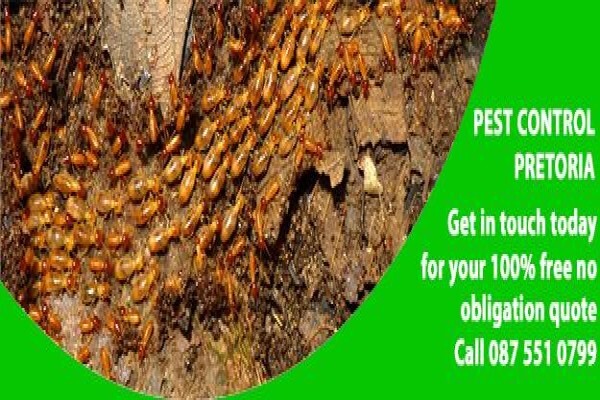 Pretoria Pest Control
