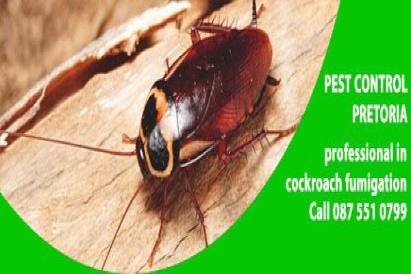 Pretoria Pest Control