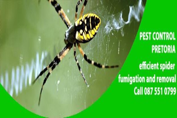 Pretoria Pest Control
