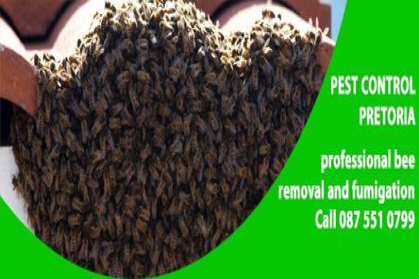 Pretoria Pest Control