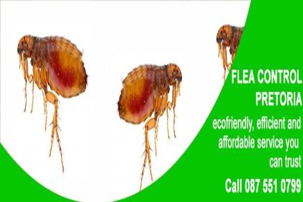 Pretoria Pest Control