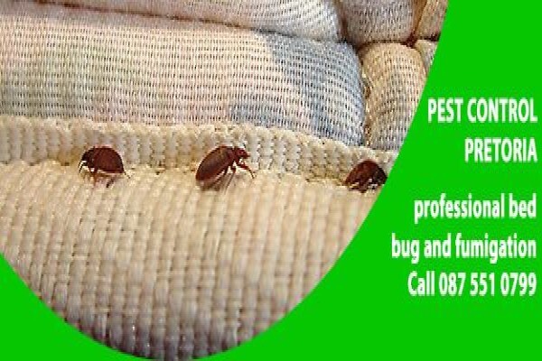 Pretoria Pest Control