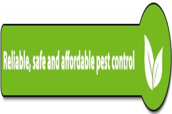 Pretoria Pest Control
