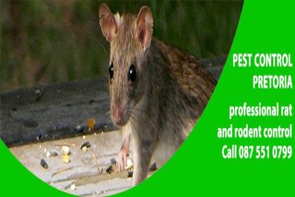Pretoria Pest Control