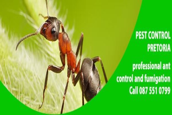 Pretoria Pest Control