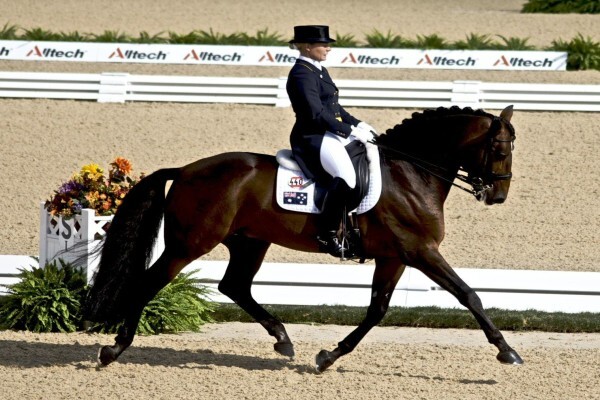 Equestrian Centre Overstrand