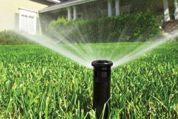 Garden Services Johannesburg