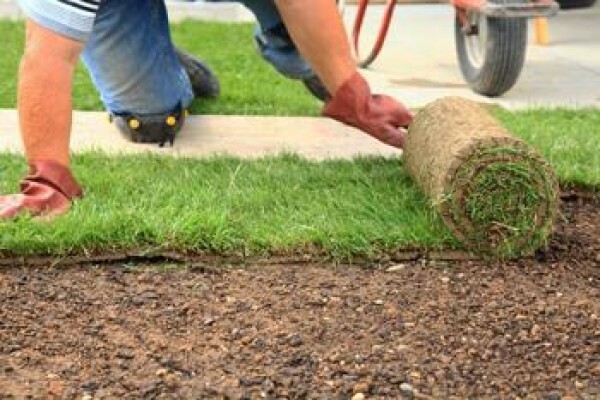 Garden Services Johannesburg