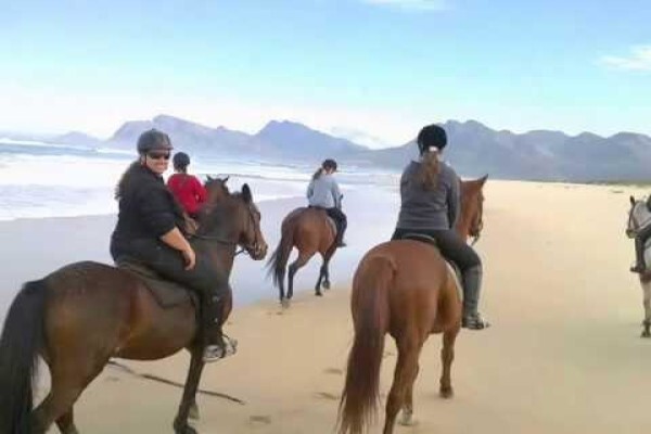 Equestrian Centre Overstrand
