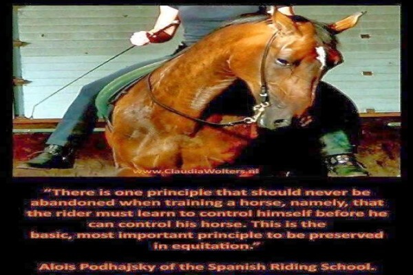 Equestrian Centre Overstrand