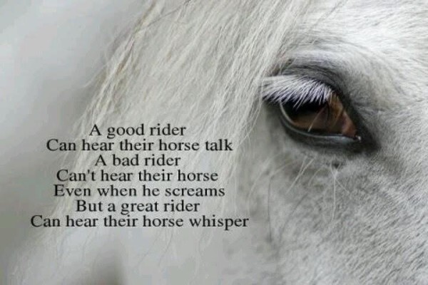 Equestrian Centre Overstrand