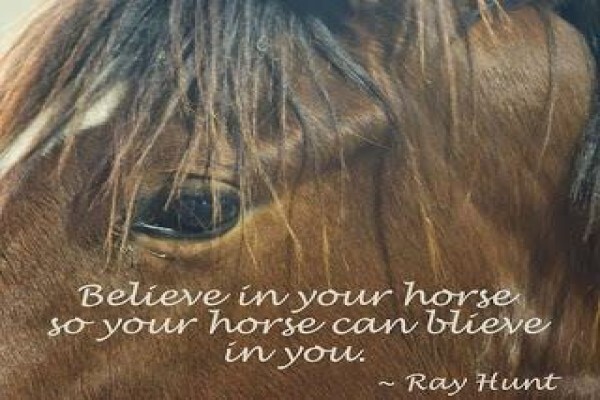 Equestrian Centre Overstrand