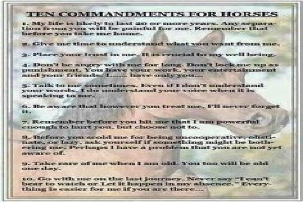 Equestrian Centre Overstrand