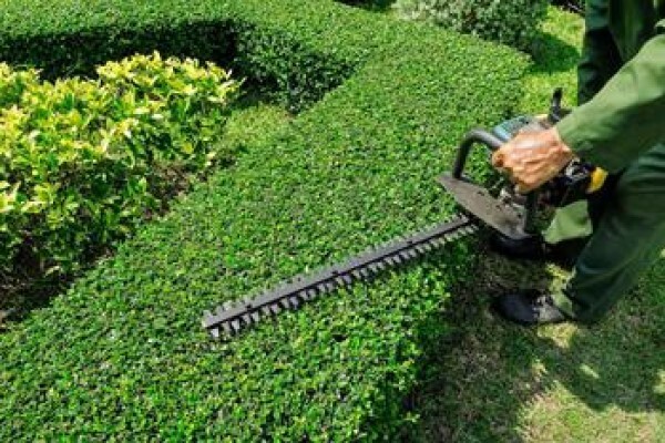 Garden Services Johannesburg