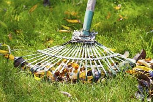 Garden Services Johannesburg