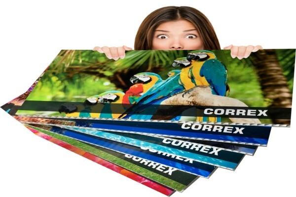 Budget Banners JHB