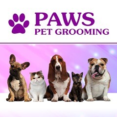 Pet Grooming Langebaan