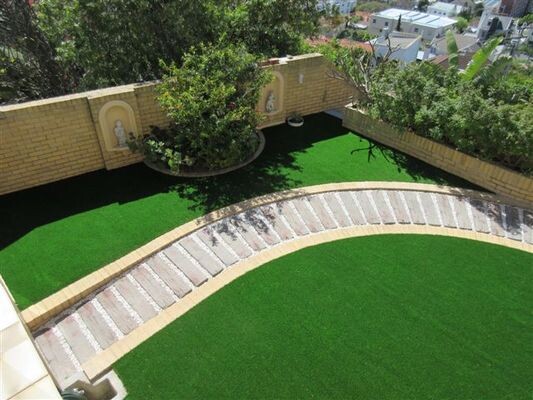 Perfect Grass