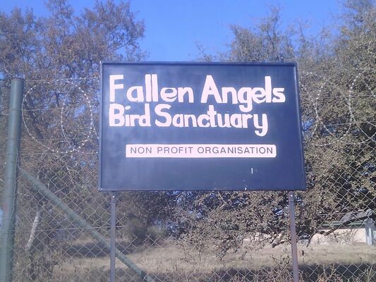 Fallen Angels Bird Sanctuary & Rescue Facility