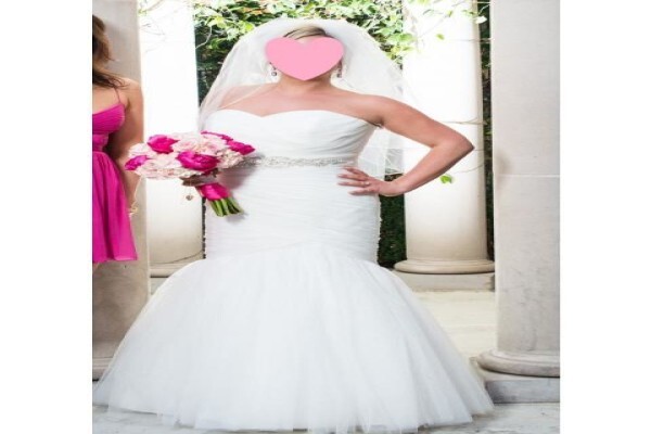 Dressyin ZA