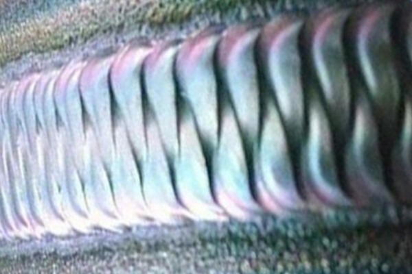 Weld Pro