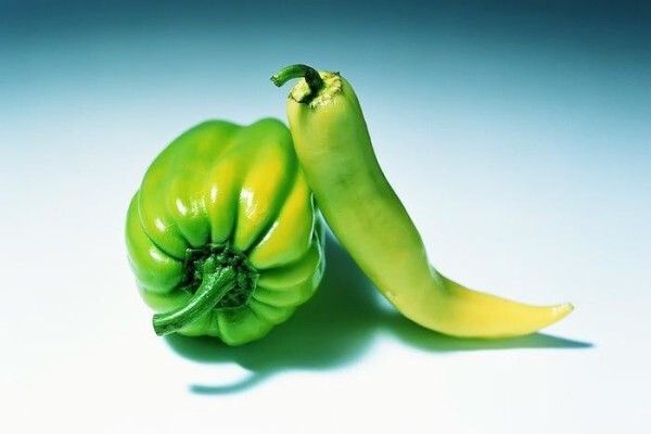 Veg & More