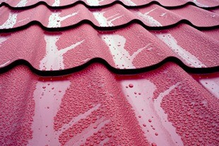 ECO Roofing