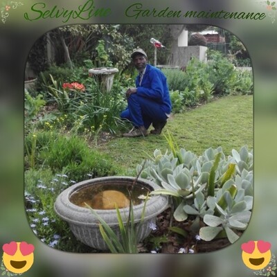 Selvyline Pty Ltd