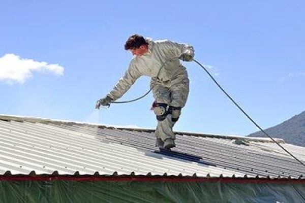 Johannesburg Painters