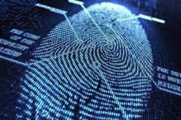 Royale Diamond Security