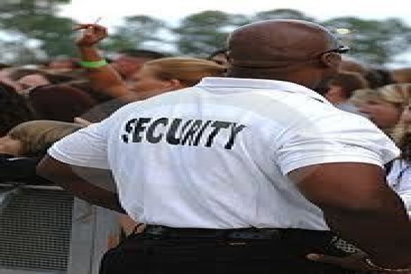 Royale Diamond Security