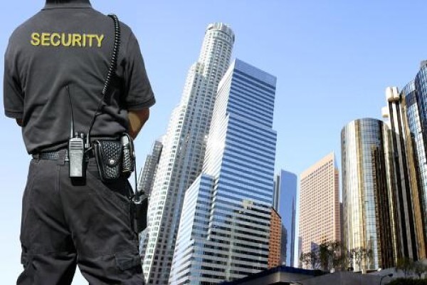 Royale Diamond Security