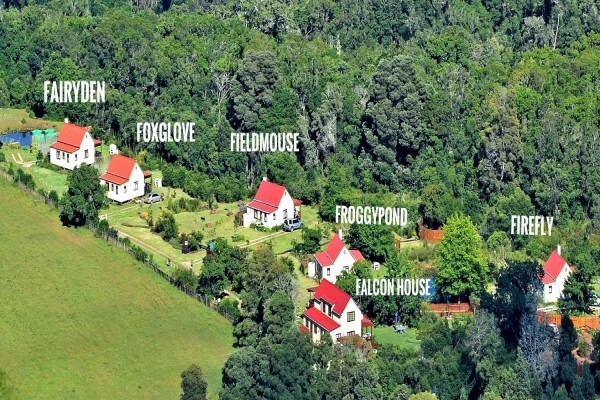 Forest Edge - Nature Lovers' Retreat