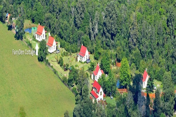 Forest Edge - Nature Lovers' Retreat