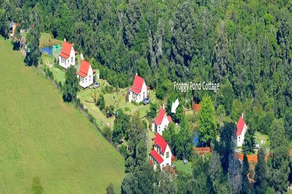 Forest Edge - Nature Lovers' Retreat