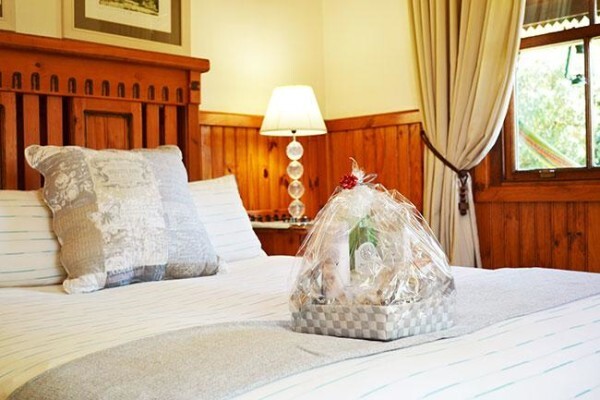 Forest Edge - Nature Lovers' Retreat