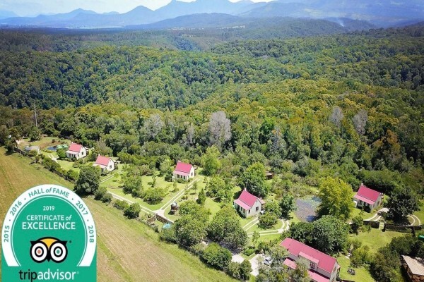 Forest Edge - Nature Lovers' Retreat