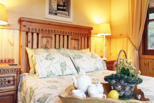 Forest Edge - Nature Lovers' Retreat