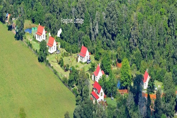 Forest Edge - Nature Lovers' Retreat