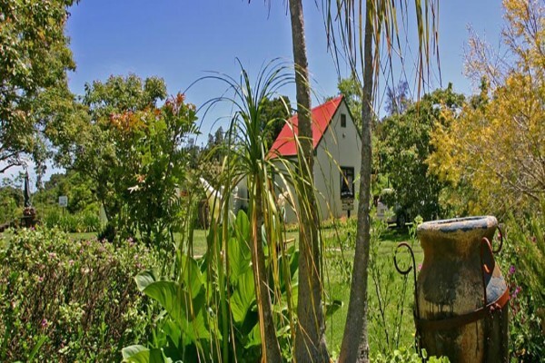 Forest Edge - Nature Lovers' Retreat