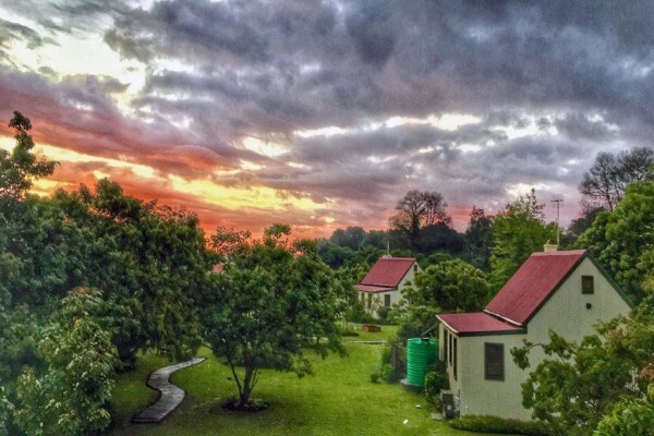 Forest Edge - Nature Lovers' Retreat