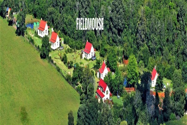 Forest Edge - Nature Lovers' Retreat