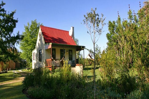 Forest Edge - Nature Lovers' Retreat