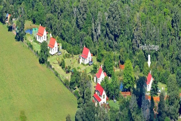 Forest Edge - Nature Lovers' Retreat