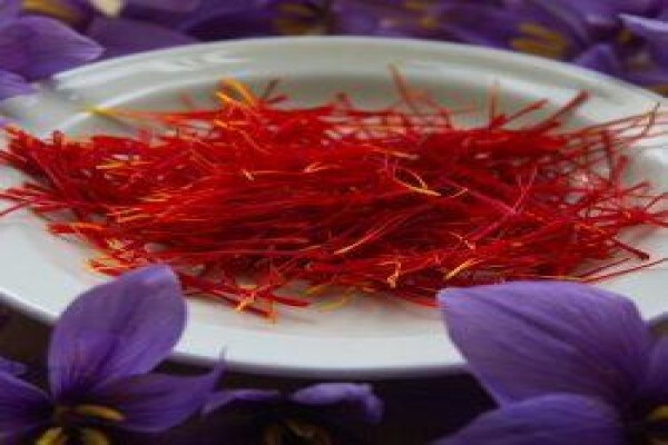 Saffron Shop