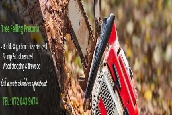 Tree Felling Pretoria
