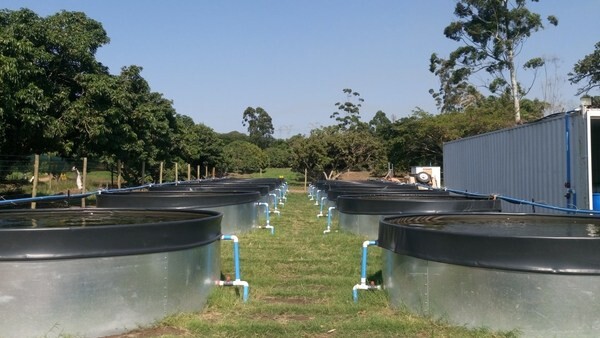 R and R Fish Farm