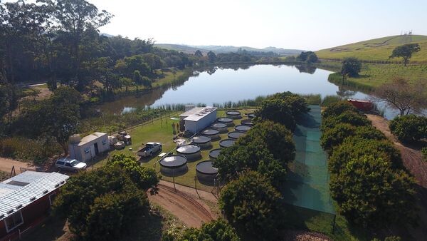 R and R Fish Farm